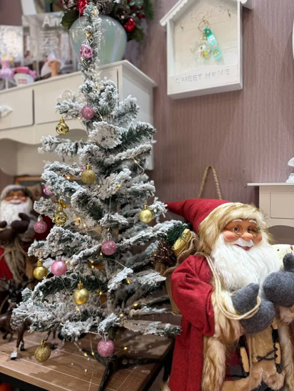 تصویر از درخت کریسمس برفی۲