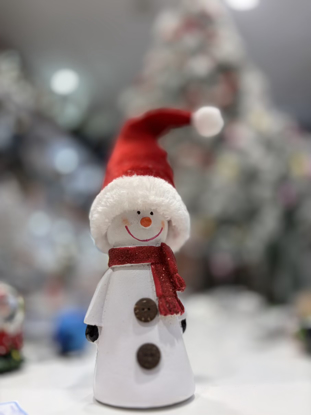 تصویر از مجسمه آدم برفی