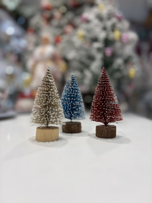 تصویر از کاج مینیاتوری 10 سانتی