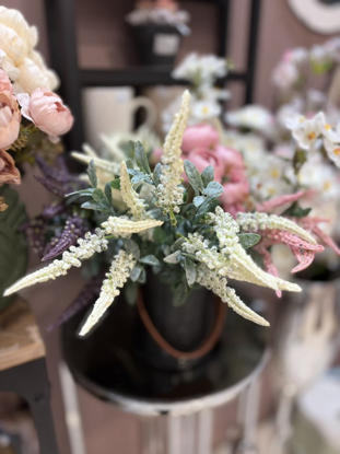 تصویر از بوته ماری ترکیبی