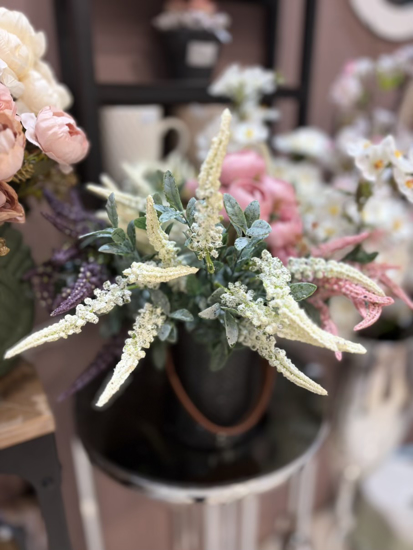 تصویر از بوته ماری ترکیبی